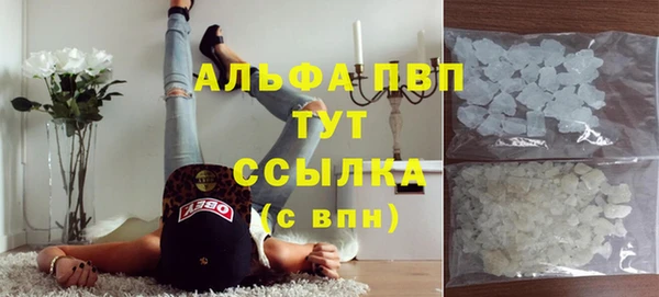 apvp Бородино