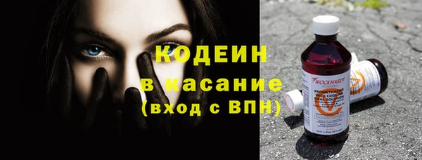 apvp Бородино