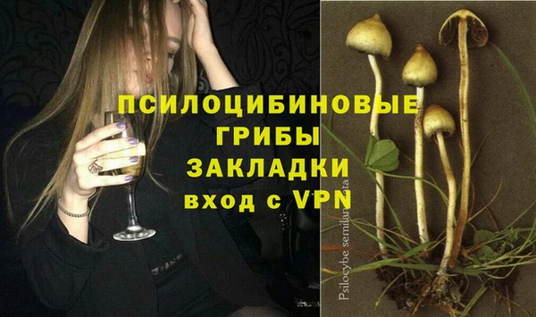 ГАЛЛЮЦИНОГЕННЫЕ ГРИБЫ Бронницы