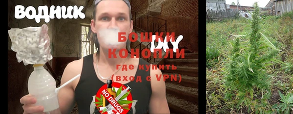 ГАЛЛЮЦИНОГЕННЫЕ ГРИБЫ Бронницы