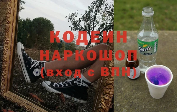 apvp Бородино