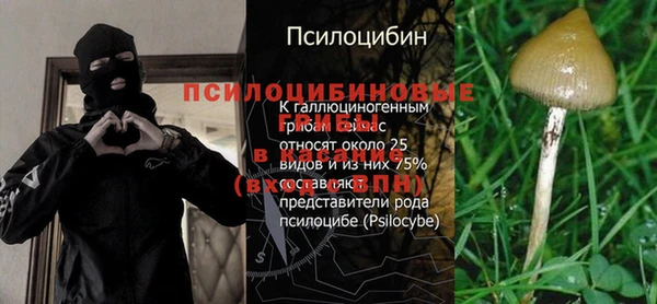 apvp Бородино
