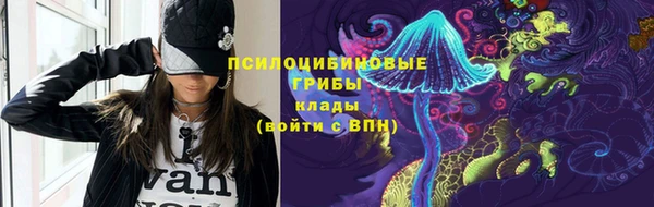 ГАЛЛЮЦИНОГЕННЫЕ ГРИБЫ Бронницы