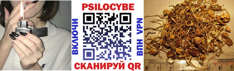 Купить закладки  Новоульяновск  Псилоцибиновые грибы прущие грибы 